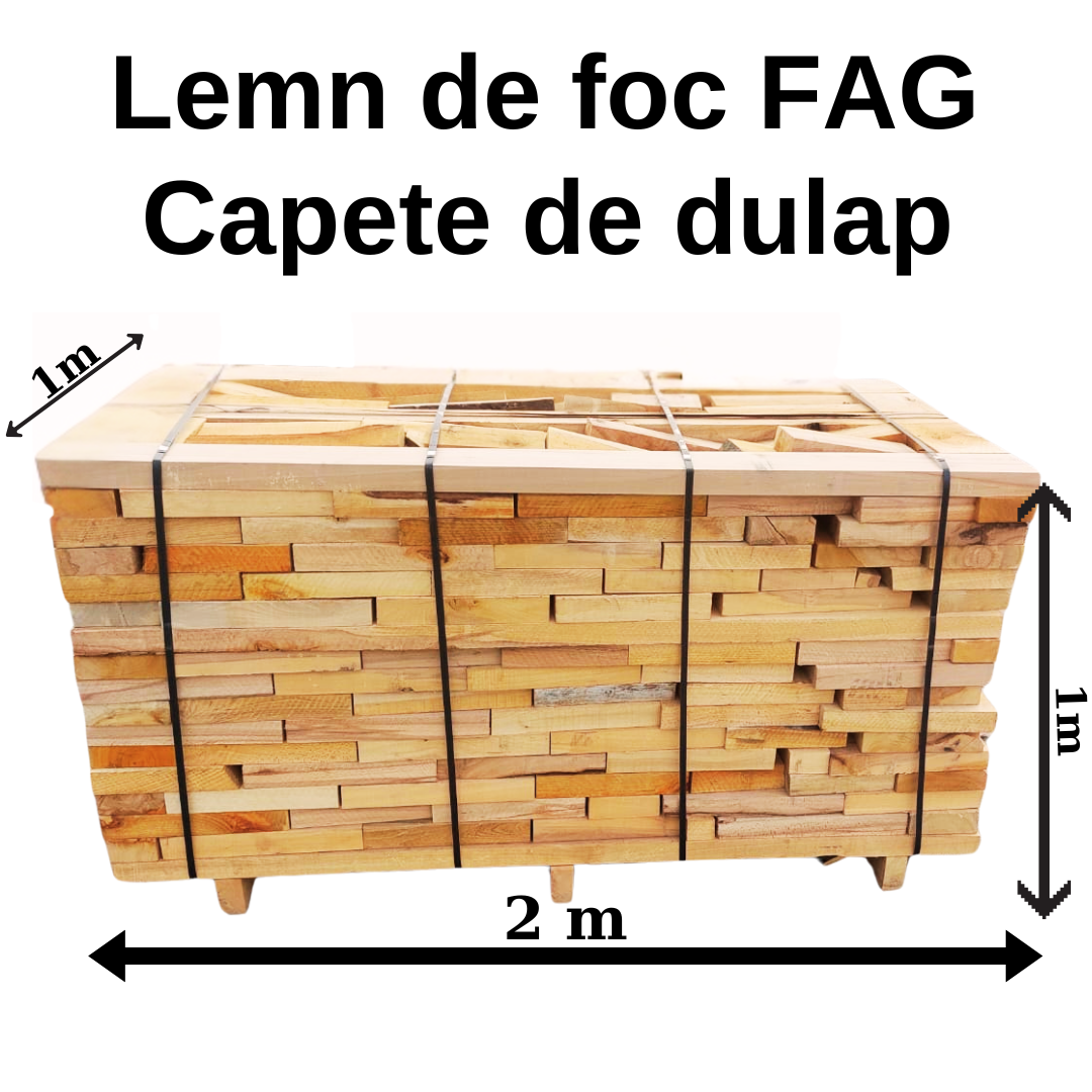 Lemn Foc Fag